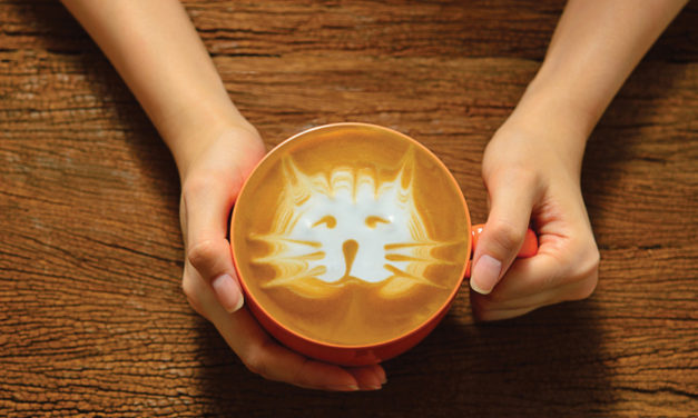 The PURRRfect Coffee House